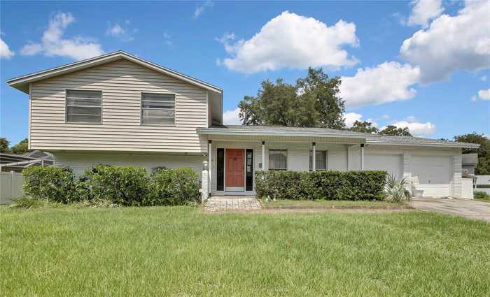 photo 1: 18313 DOLLY BROOK LANE, LUTZ FL 33549