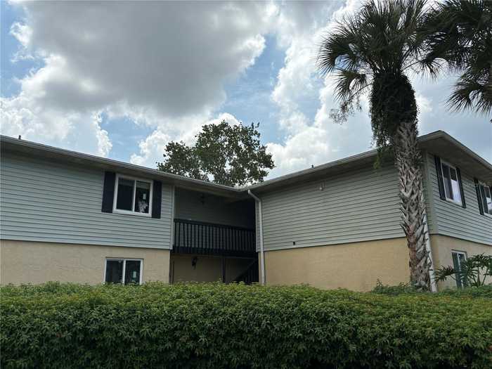 photo 2: 217 THORN TREE PLACE, BRANDON FL 33510