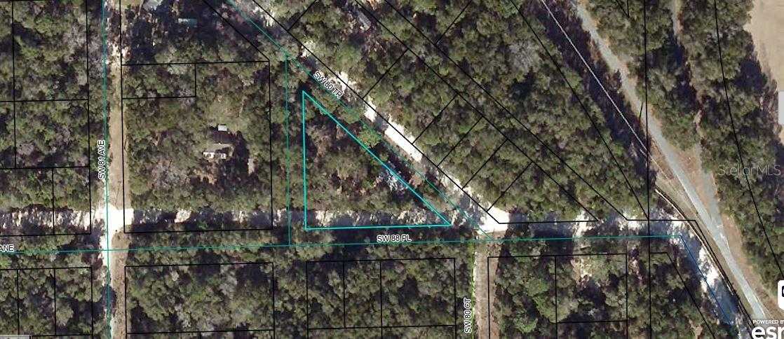 photo 1: 8089 SW 80TH TRAIL, TRENTON FL 32693