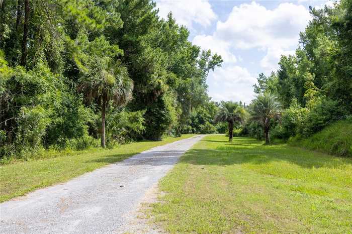 photo 5: TBA SW 114TH LANE, MICANOPY FL 32667