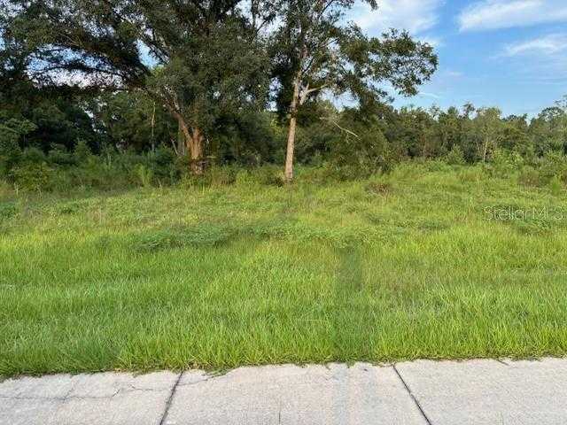 photo 3: SW 4TH AVE., CHIEFLAND FL 32626