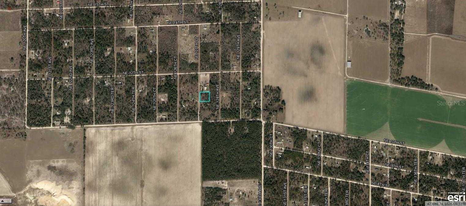 photo 3: 09846-007-00 NE 127 COURT, WILLISTON FL 32696