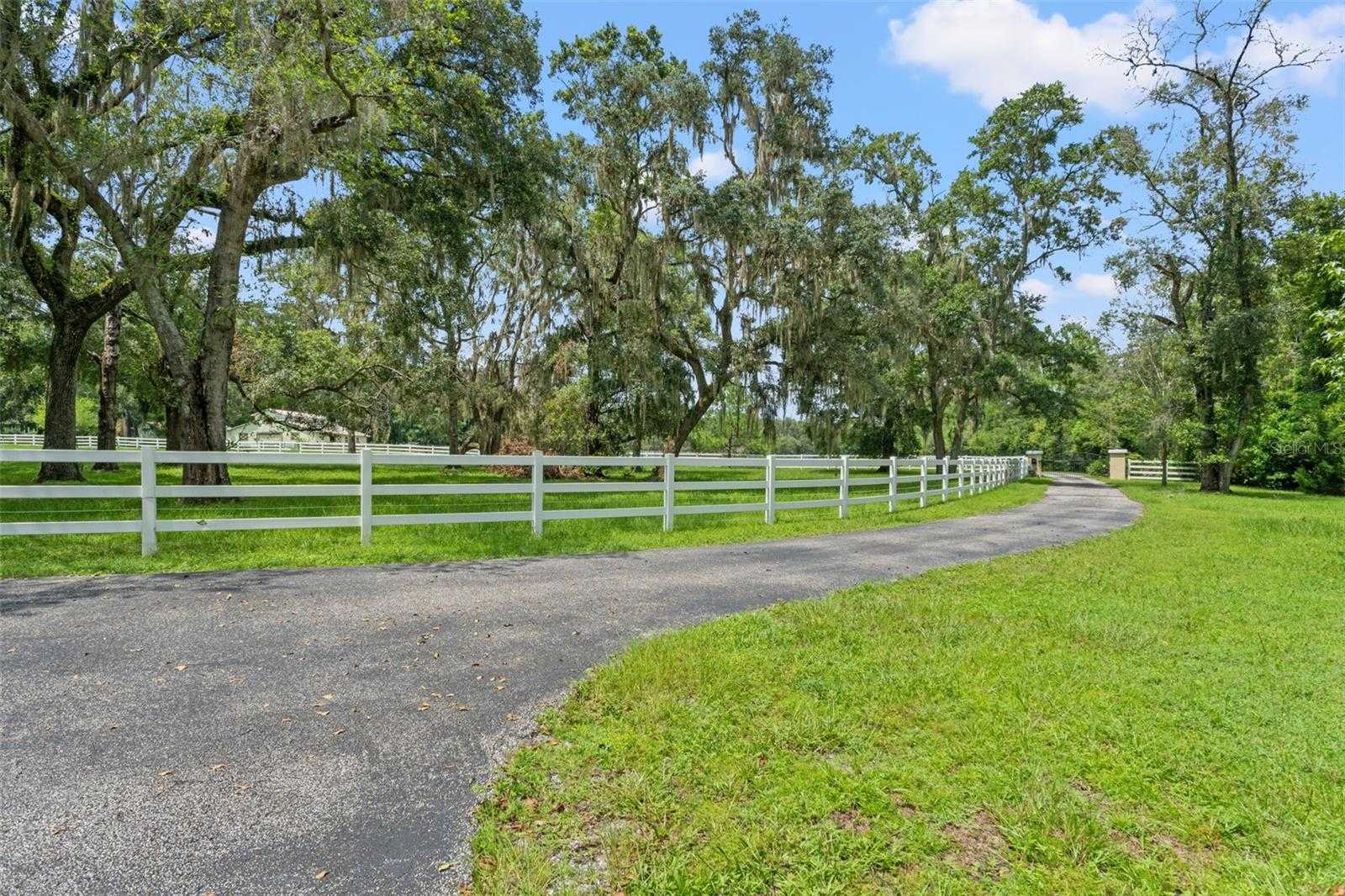 photo 3: 21360 RACE HORSE LANE, BROOKSVILLE FL 34604