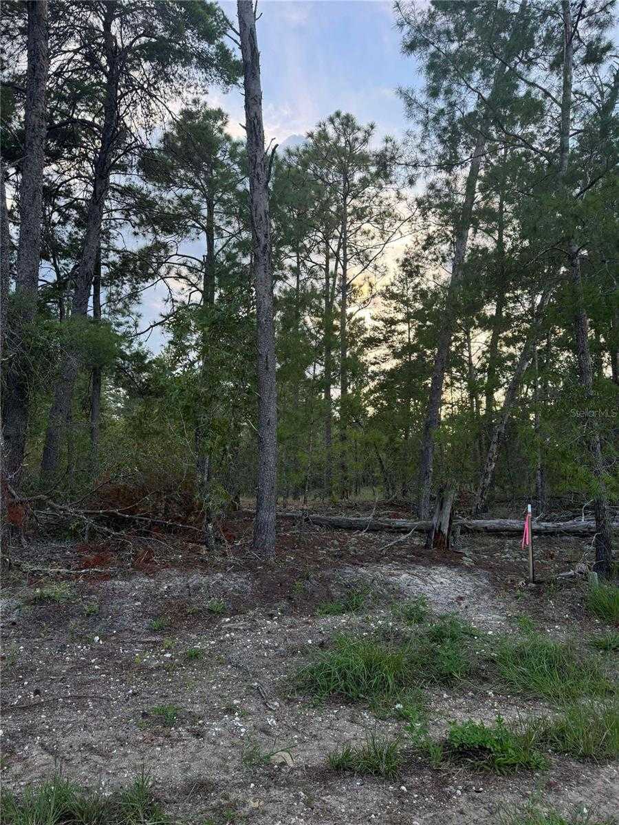 photo 2: Lot #4 SE 145TH COURT, MORRISTON FL 32668