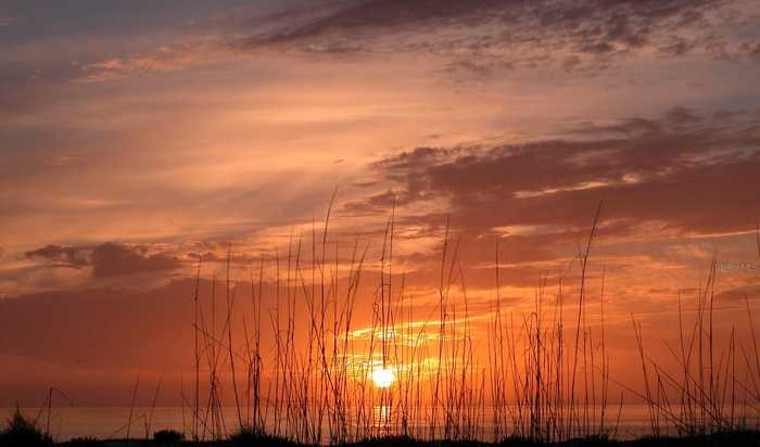 photo 80: 3310 SABAL COVE LANE, LONGBOAT KEY FL 34228