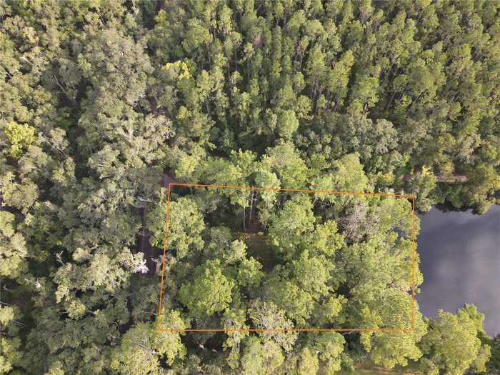 photo 1: TBD NW 5TH STREET, MICANOPY FL 32667