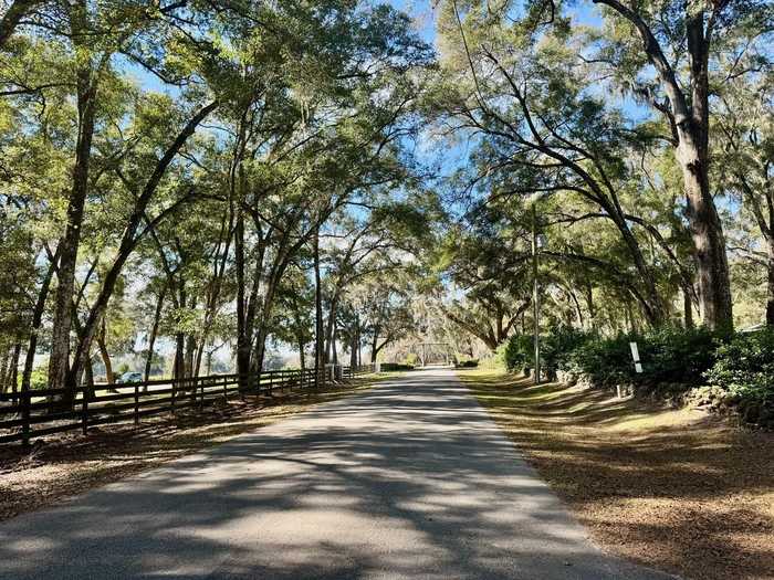 photo 2: SW 98TH LANE, OCALA FL 34476