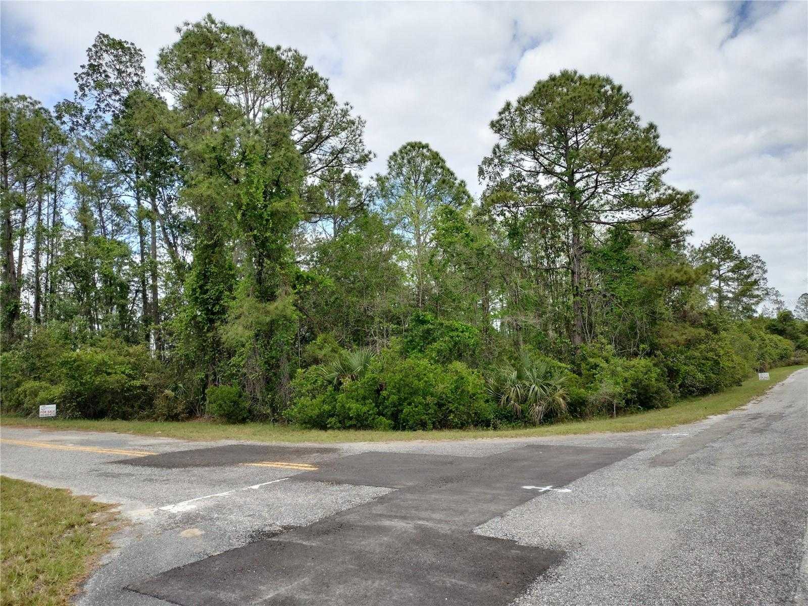 photo 1: E BLUEBELL AVENUE, EUSTIS FL 32736