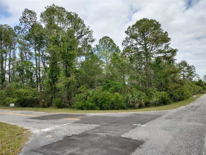 photo 1: E BLUEBELL AVENUE, EUSTIS FL 32736