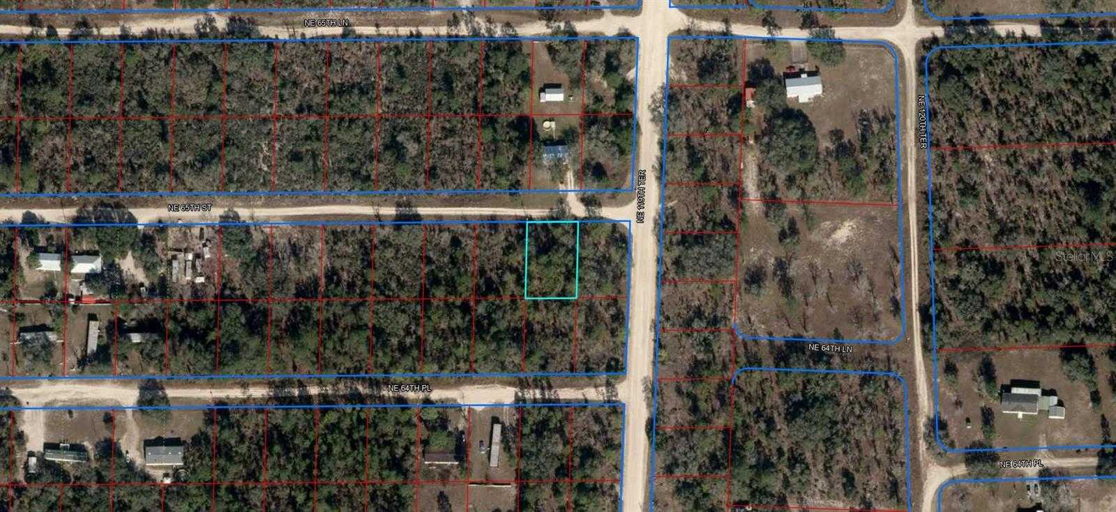 photo 2: NE 65 STREET, WILLISTON FL 32696