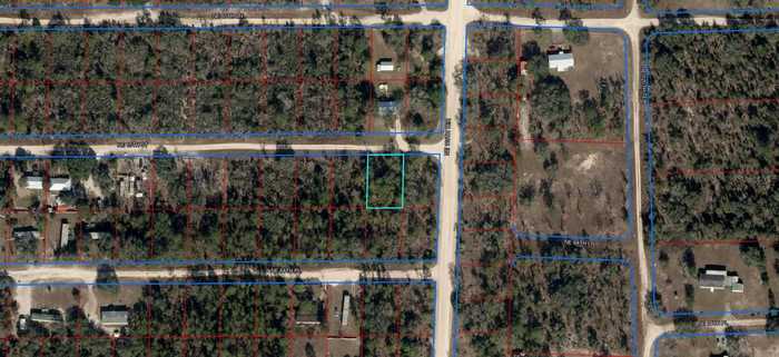 photo 2: NE 65 STREET, WILLISTON FL 32696