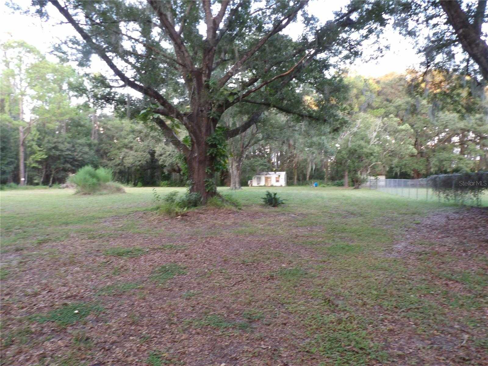 photo 2: 6652 EVENING SHADE LANE, LAND O LAKES FL 34638