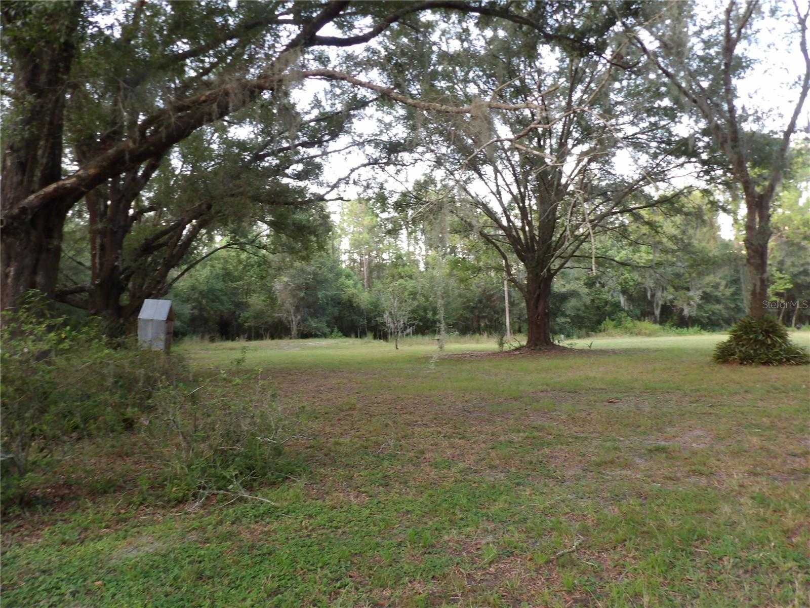 photo 3: 6652 EVENING SHADE LANE, LAND O LAKES FL 34638