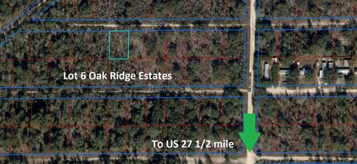 photo 1: NE 66TH LANE, WILLISTON FL 32696