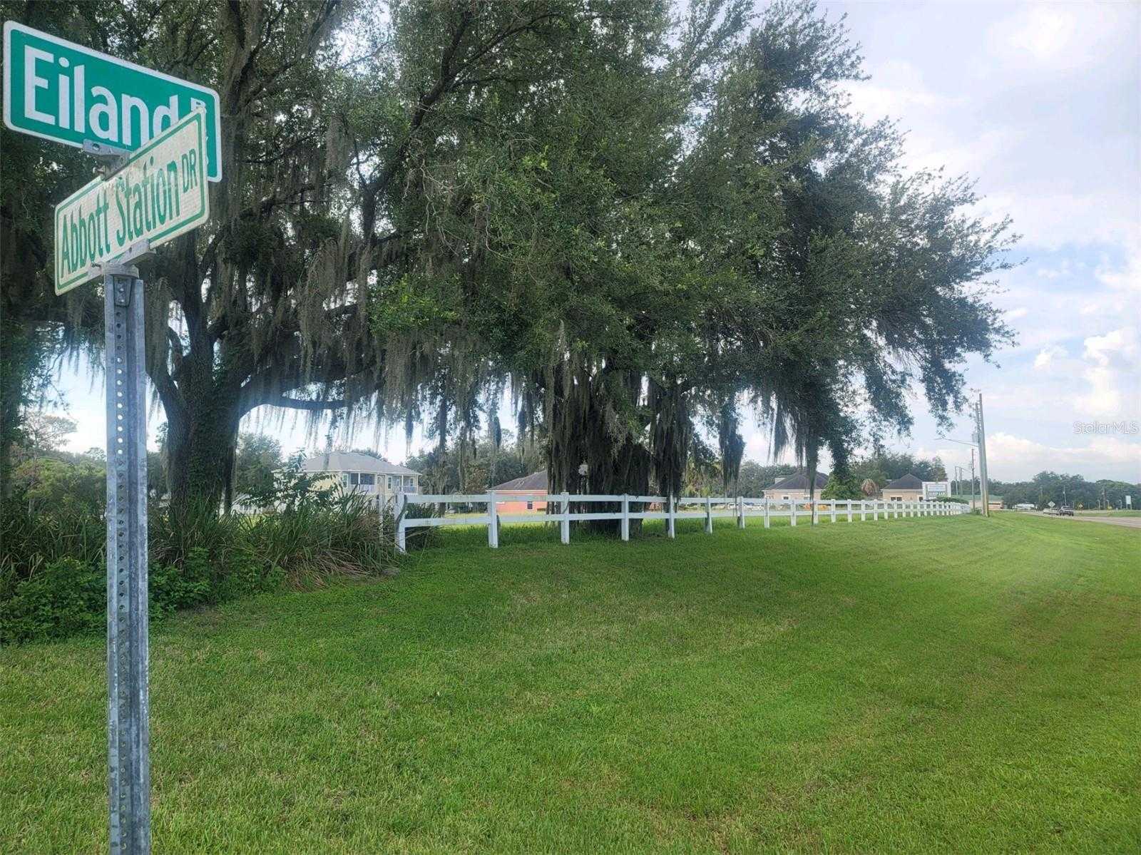 photo 1: ABBOTT STATION DRIVE, ZEPHYRHILLS FL 33542