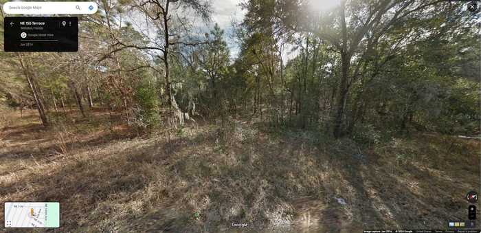 photo 2: NE 155 TERRACE, WILLISTON FL 32696