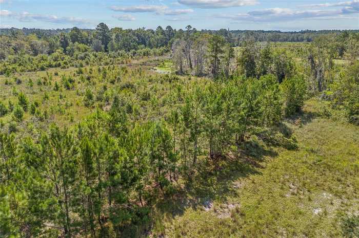 photo 28: SE BLUEBERRY ROAD, WHITE SPRINGS FL 32096