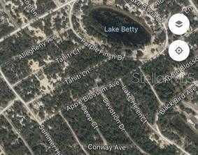 photo 2: 404 TAHITI LANE, LAKE PLACID FL 33852