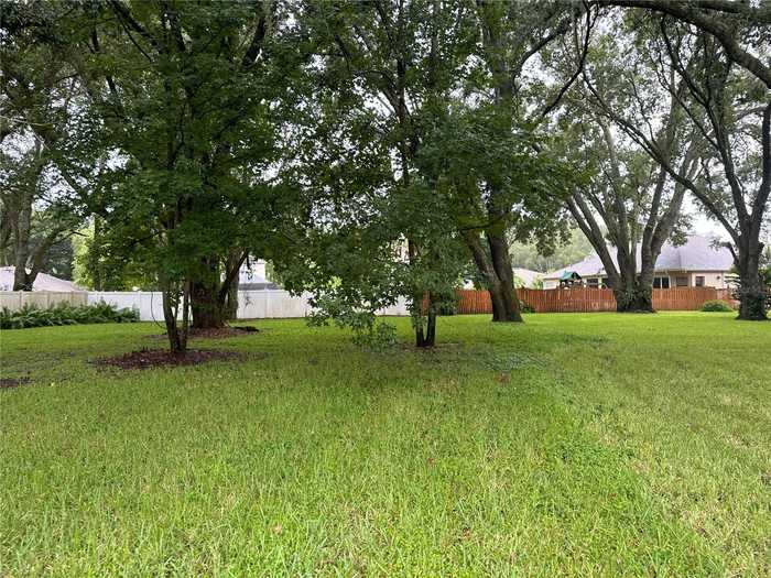 photo 15: 16208 BARRINEAU PLACE, LUTZ FL 33549