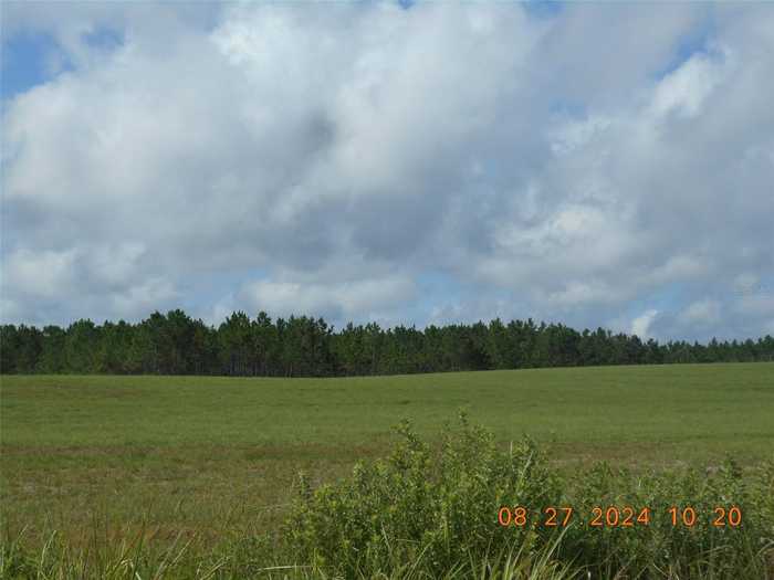 photo 1: NW 72 PLACE, BELL FL 32619