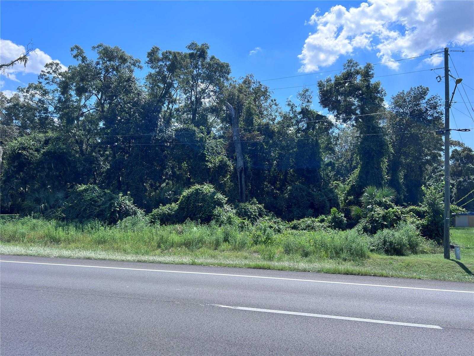 photo 1: US 19 HIGHWAY N, FANNING SPRINGS FL 32693