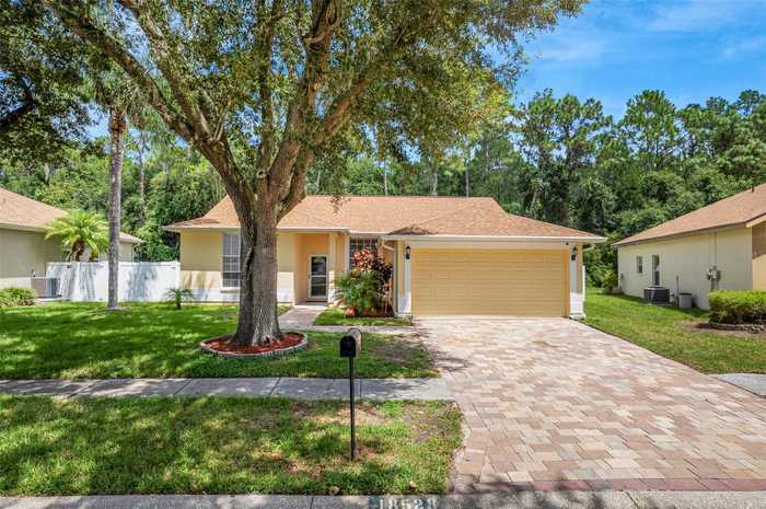 photo 1: 18528 OTTERWOOD AVENUE, TAMPA FL 33647