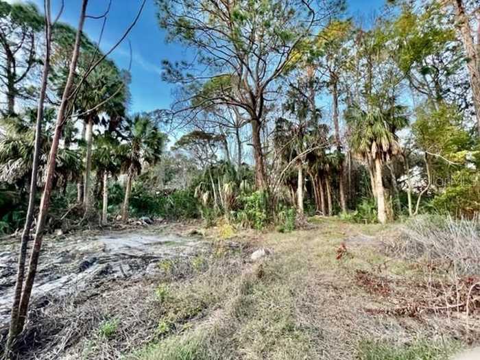 photo 25: PINEWOOD DRIVE, NEW PORT RICHEY FL 34652