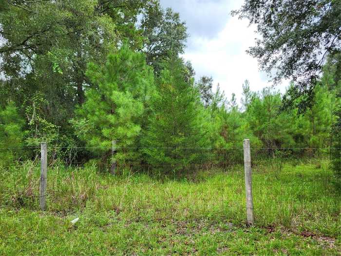 photo 2: 15048 NW 94TH LANE, LAKE BUTLER FL 32054