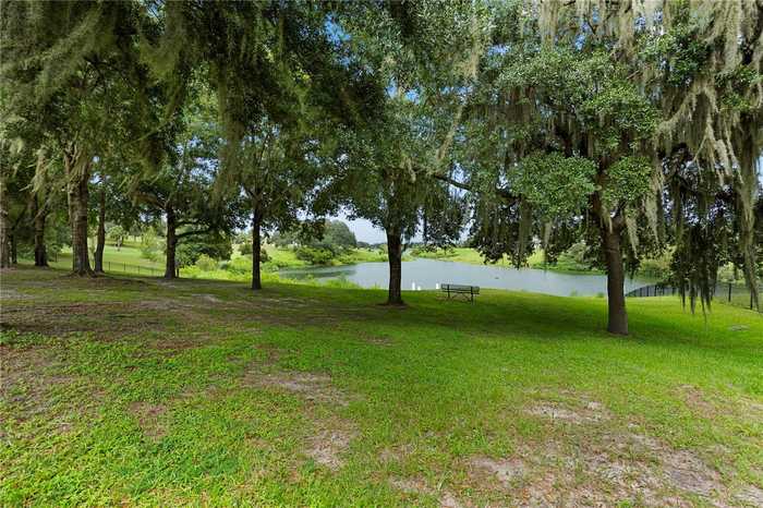 photo 79: 36925 BEE MEADOW COURT, EUSTIS FL 32736