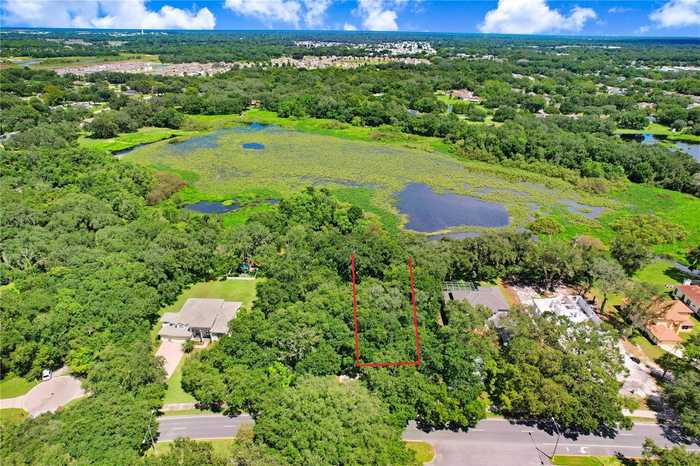 photo 16: GOLF LINKS BLVD LOT 5, ZEPHYRHILLS FL 33541