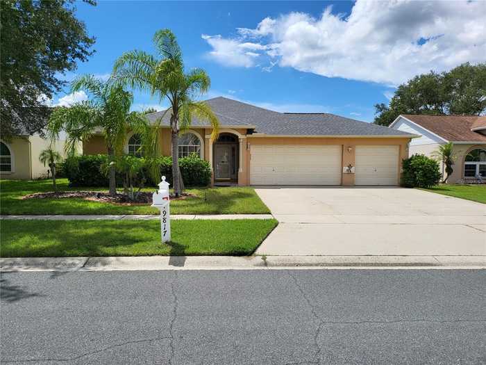 photo 1: 9817 LA VONDA STREET, RIVERVIEW FL 33569