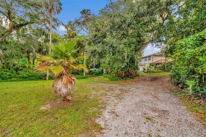 photo 49: 7242 ALAFIA RIDGE LOOP, RIVERVIEW FL 33569