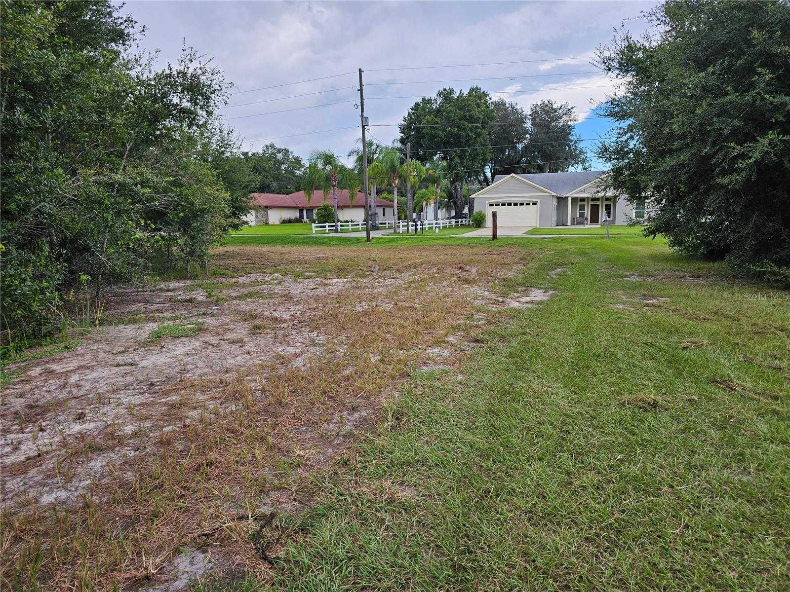 photo 3: CARSON DR,, LAND O LAKES FL 34639