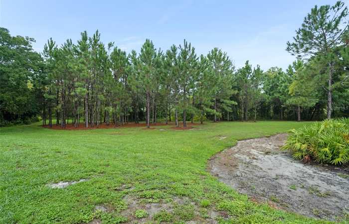 photo 37: 2424 LOBELIA DRIVE, LAKE MARY FL 32746