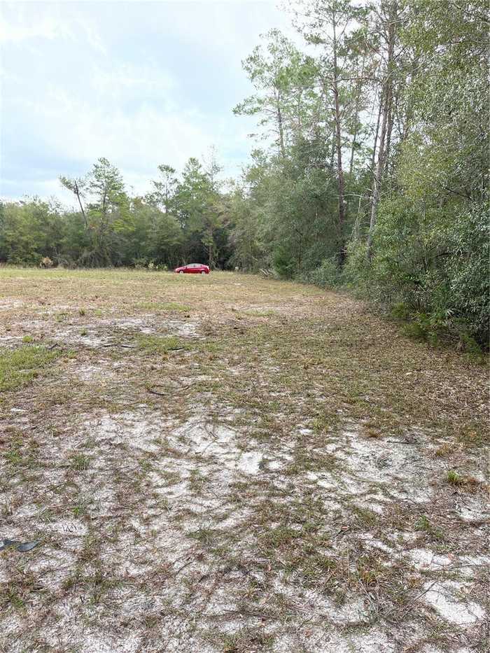 photo 2: NE 108TH COURT, BRONSON FL 32621