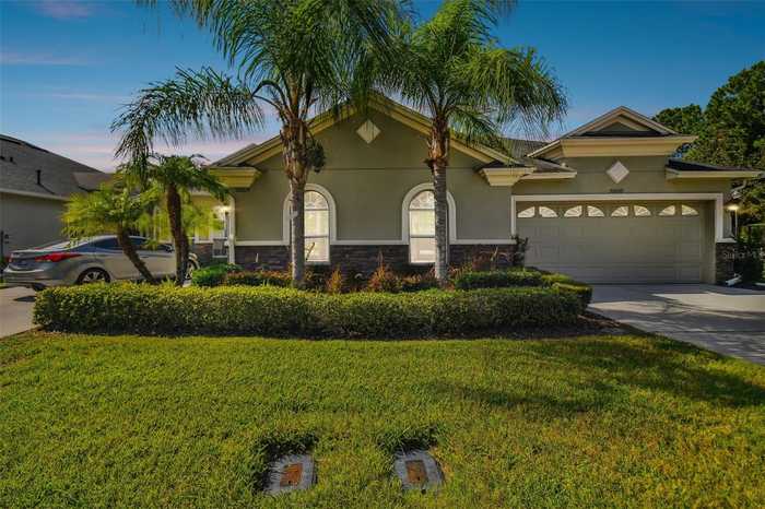 photo 1: 20610 AMANDA OAK COURT, LAND O LAKES FL 34638