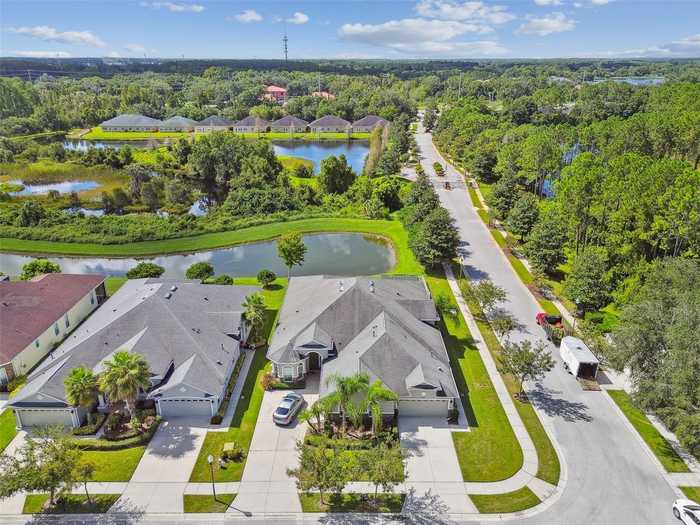 photo 88: 20610 AMANDA OAK COURT, LAND O LAKES FL 34638