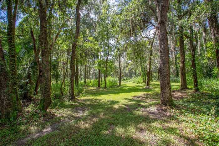 photo 2: 9703-B CARR ROAD, RIVERVIEW FL 33569