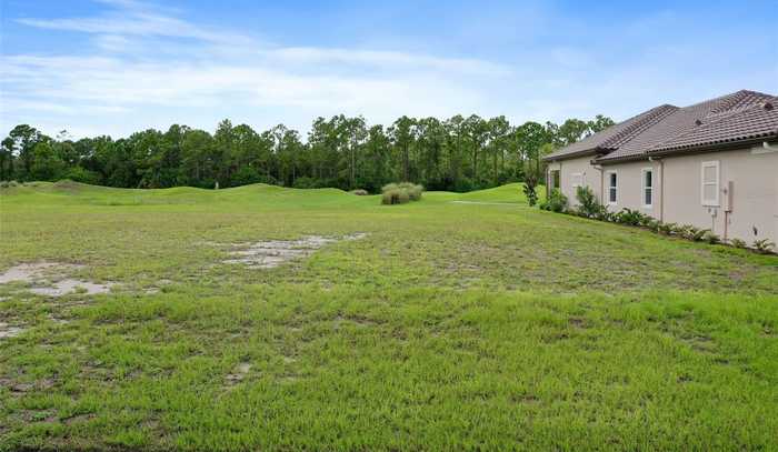 photo 1: 342 HIBISCUS WAY, PALM COAST FL 32137