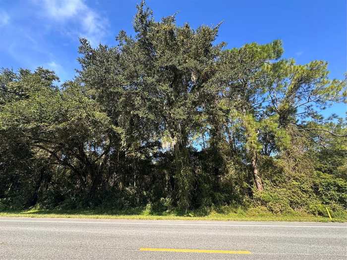 photo 1: TREIMAN BOULEVARD, WEBSTER FL 33597