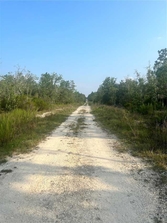 photo 2: TBD NE 150TH COURT, WILLISTON FL 32696