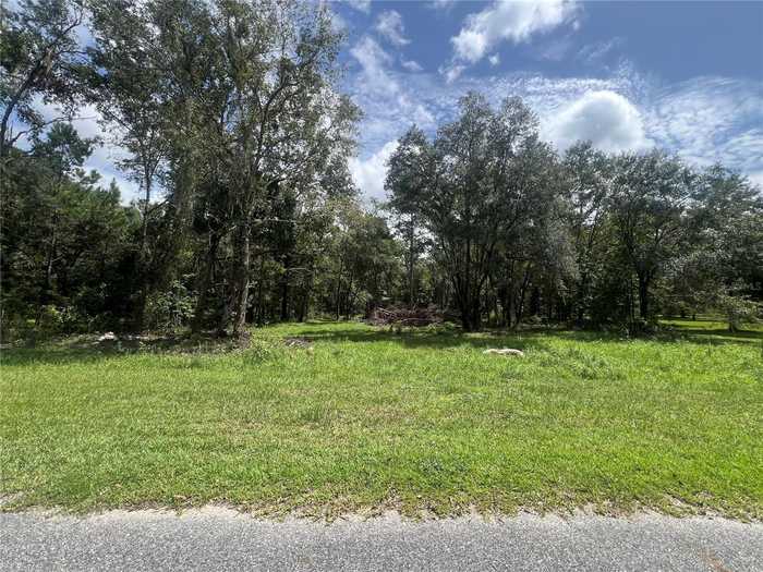 photo 14: TBD NW 145 AVE, WILLISTON FL 32696