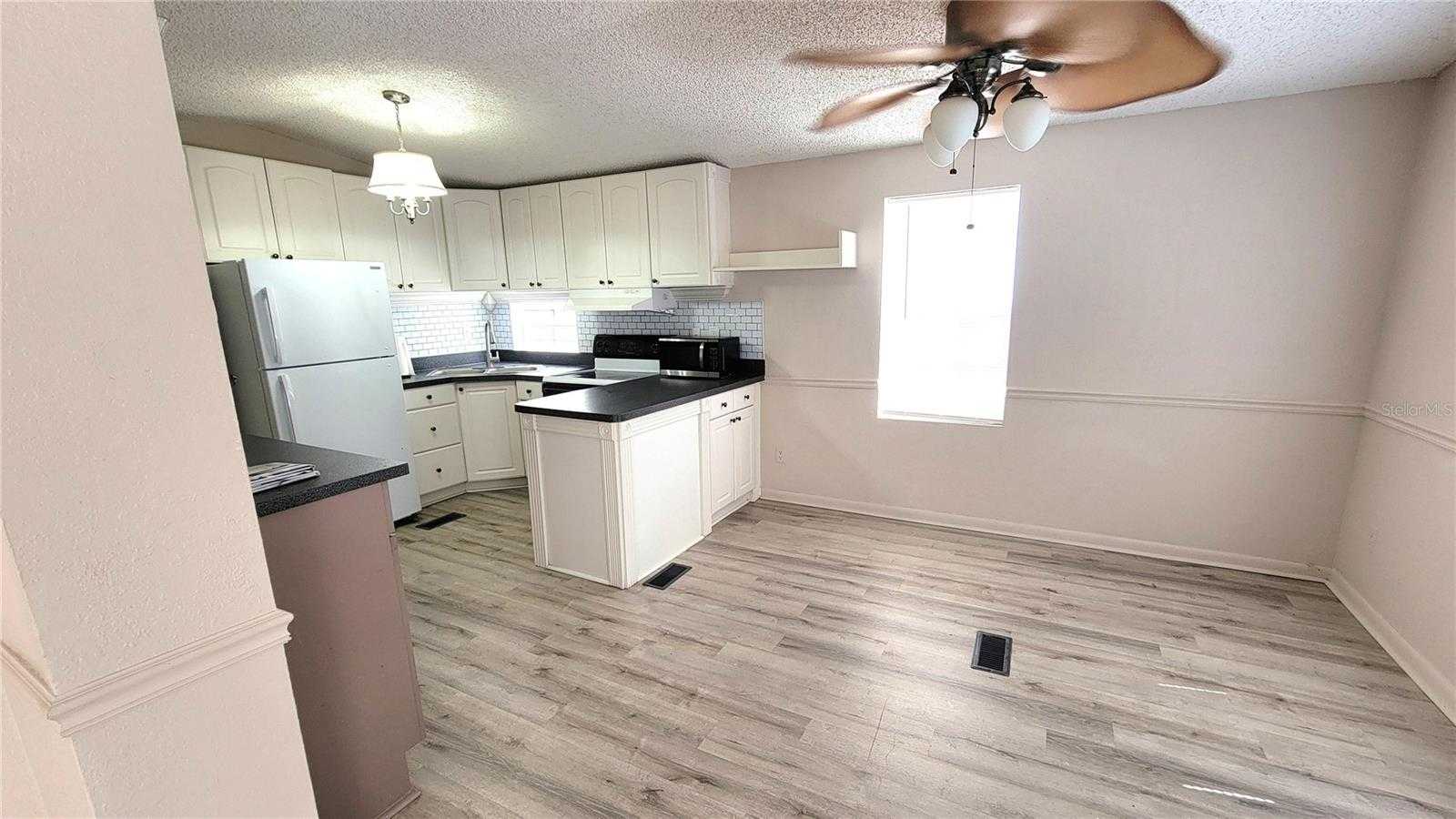 photo 3: 21131 LAZY DAYS CIRCLE, LUTZ FL 33558