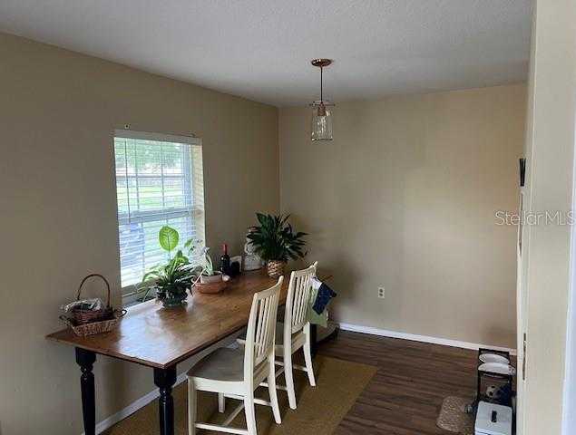 photo 3: 527 W HERRIOTT AVENUE, OAKLAND FL 34760