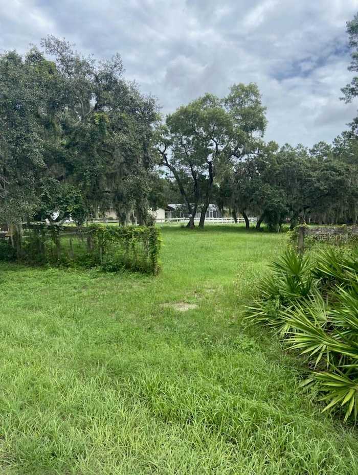 photo 14: HILLTOP DRIVE, NEW PORT RICHEY FL 34654