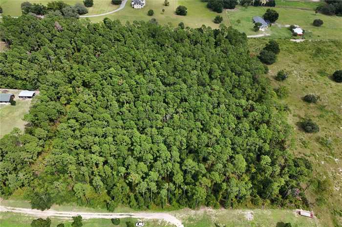 photo 8: TBD LAKE SENECA ROAD, EUSTIS FL 32726