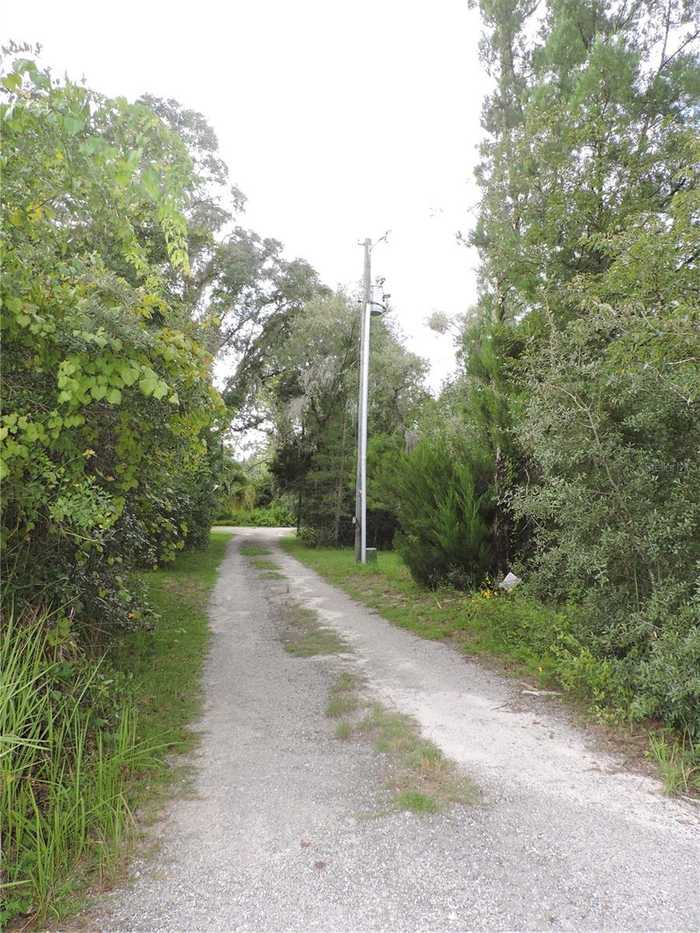 photo 58: 3320 BOB CAT TRAIL, LAKE WALES FL 33898