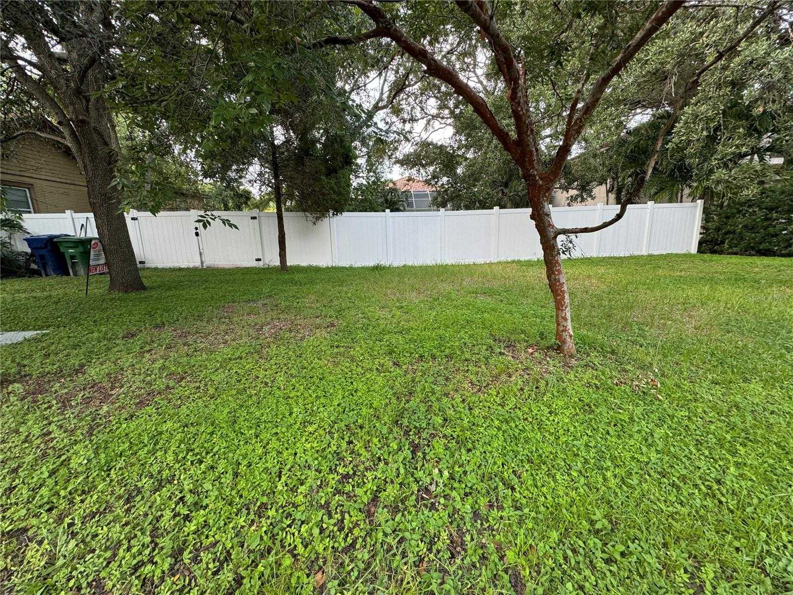 photo 1: 3115 W SAN PEDRO STREET, TAMPA FL 33629