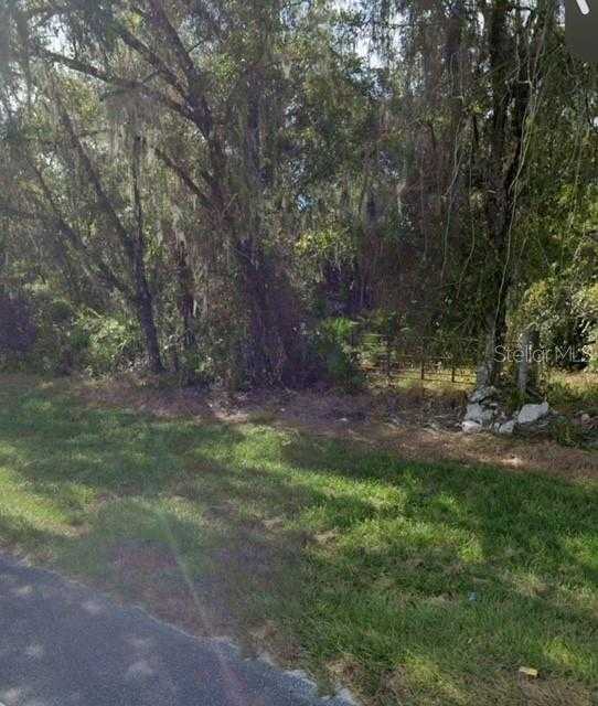 photo 2: 9001 TREIMAN BOULEVARD, WEBSTER FL 33597