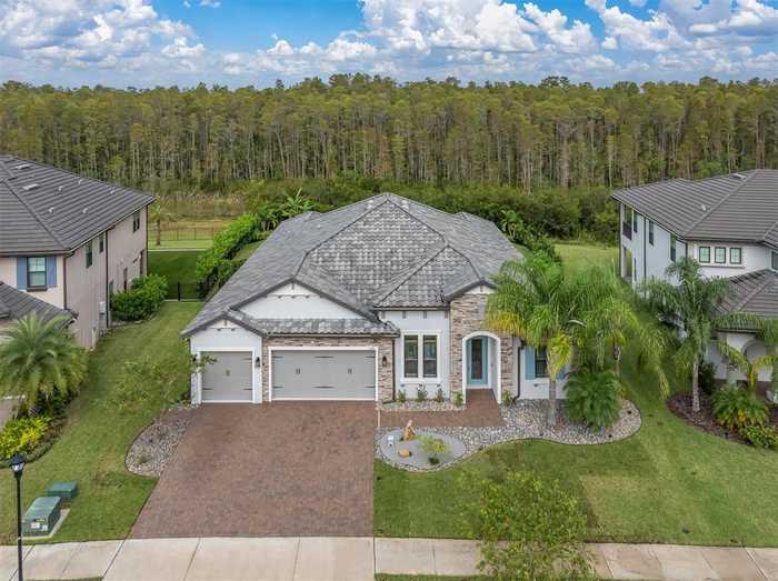 photo 1: 6126 MARSH TRAIL DRIVE, ODESSA FL 33556